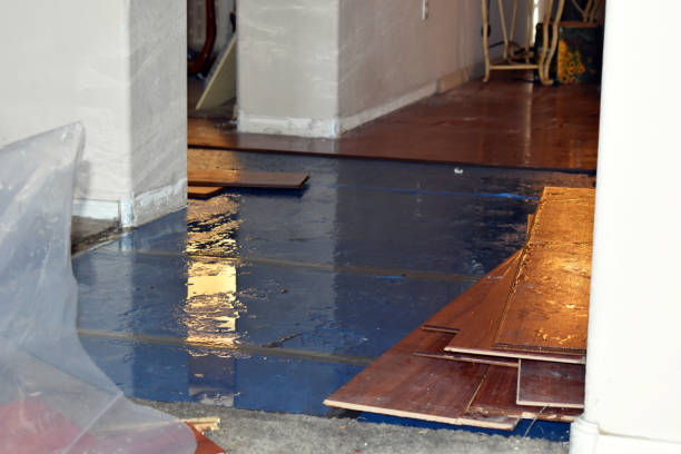 Professional Burst Pipe Cleanup technician working in Great Falls, VA